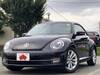 VOLKSWAGEN THE BEETLE