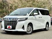 2019 TOYOTA ALPHARD HYBRID