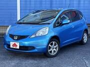 2010 HONDA FIT