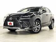 2021 LEXUS NX