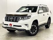 2019 TOYOTA LAND CRUISER PRADO TX