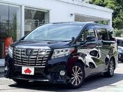 2016 TOYOTA ALPHARD