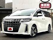 2019 TOYOTA ALPHARD