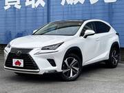 2018 LEXUS NX