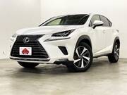 2019 LEXUS NX