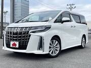 2019 TOYOTA ALPHARD
