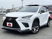 2019 LEXUS NX