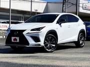2019 LEXUS NX