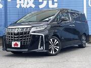 2019 TOYOTA ALPHARD