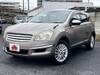 NISSAN DUALIS