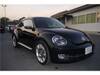 VOLKSWAGEN THE BEETLE