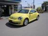 VOLKSWAGEN THE BEETLE