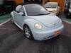 VOLKSWAGEN NEW BEETLE