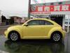 VOLKSWAGEN THE BEETLE