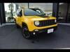 CHRYSLER JEEP RENEGADE