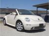 VOLKSWAGEN NEW BEETLE