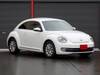 VOLKSWAGEN THE BEETLE