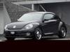 VOLKSWAGEN THE BEETLE