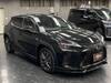LEXUS OTHER