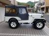 MITSUBISHI JEEP