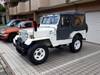 MITSUBISHI JEEP