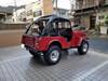 MITSUBISHI JEEP