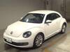 VOLKSWAGEN THE BEETLE