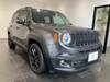 CHRYSLER JEEP RENEGADE