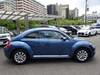 VOLKSWAGEN THE BEETLE