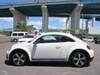 VOLKSWAGEN THE BEETLE