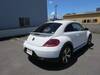 VOLKSWAGEN THE BEETLE