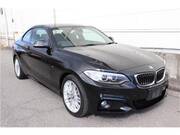 2015 BMW 2 SERIES