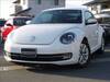 VOLKSWAGEN THE BEETLE