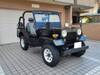 MITSUBISHI JEEP