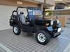 MITSUBISHI JEEP