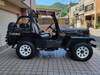 MITSUBISHI JEEP