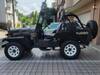 MITSUBISHI JEEP