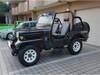 MITSUBISHI JEEP