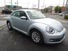 VOLKSWAGEN THE BEETLE