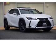 2020 LEXUS UX