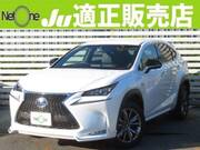 2014 LEXUS NX