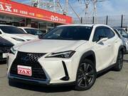 2019 LEXUS UX