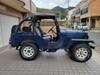 MITSUBISHI JEEP