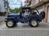 MITSUBISHI JEEP