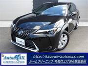 2019 LEXUS UX