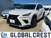 2019 LEXUS NX