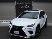 2018 LEXUS NX