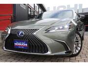 2019 LEXUS ES