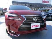2014 LEXUS NX