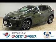 2019 LEXUS UX